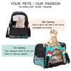 Pet Carrier Cute Cartoon Rolls And Sushi In Kawaii Japanese Food Soft-Sided Pet Travel Carriers For Cats,Dogs Puppy Comfort Portable Foldable Pet Bag Airline Approved 1 Pet Carrier Cute Cartoon Rolls And Sushi In Kawaii Japanese Food Soft-Sided Pet Travel Carriers For Cats,Dogs Puppy Comfort Portable Foldable Pet Bag Airline Approved -Greenies Pet Store 51qsAmMtL7S