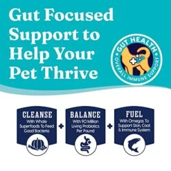 Solid Gold Indoor Dry Cat Food - Let's Stay In Cat Food Dry Kibble For Indoor Cats - Hairball & Sensitive Stomach - Grain & Gluten Free - Probiotics & Fiber For Digestive Health - Chicken - 12lb 10 Solid Gold Indoor Dry Cat Food - Let's Stay In Cat Food Dry Kibble For Indoor Cats - Hairball & Sensitive Stomach - Grain & Gluten Free - Probiotics & Fiber For Digestive Health - Chicken - 12lb -Greenies Pet Store 51qzCghPFFL