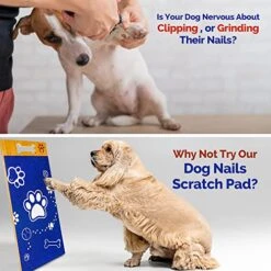 Nordic Wolf (Dog Scratch Pad For Nails, Stress Free, Sandpaper Double Sided Replaceable.Dog Scratcher For Dog Nails.Dog Nail Scratch Pad,Scratch Boards For Dogs Scratching Pad Dog Nail File. -Greenies Pet Store 51stHzAPiDL