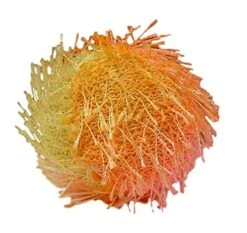 Purina Dentalife Dental Cat Treats 2 Flavor 4 Pouch Variety, 2 Each: Tasty Chicken, Savory Salmon (1.8 Ounces) | Plus 2 Catnip Toys Bundle -Greenies Pet Store 51tE20MMh5L