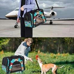 Pet Carrier Cute Cartoon Rolls And Sushi In Kawaii Japanese Food Soft-Sided Pet Travel Carriers For Cats,Dogs Puppy Comfort Portable Foldable Pet Bag Airline Approved -Greenies Pet Store 51vLMsXgsgS