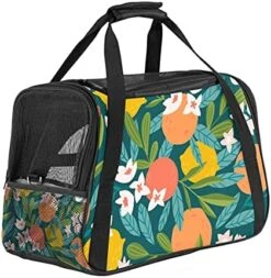 Pet Carrier Japanese Food Takoyaki Octopus Illustration Soft-Sided Pet Travel Carriers For Cats,Dogs Puppy Comfort Portable Foldable Pet Bag Airline Approved 25 Pet Carrier Japanese Food Takoyaki Octopus Illustration Soft-Sided Pet Travel Carriers For Cats,Dogs Puppy Comfort Portable Foldable Pet Bag Airline Approved -Greenies Pet Store 51vfsEhE6lS. AC