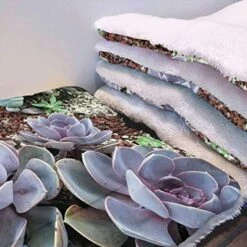 GENERIC Yellow Ultra Soft Thick Flannel Dog Cat Bed Mats Breakfast Food Cartoon Like Image Soft Warm Puppy Blanket Cover Dog Cat Fluffy Fur Blanket Sleep Fast Food Dessert 22" X 28" -Greenies Pet Store 51wLFwiXKNL. AC