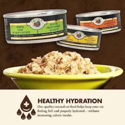 Fromm Four-Star Nutritionals Surf & Turf In Gravy Entrée - Premium Wet Cat Food - Chicken Recipe - Case Of (12) 5.5 Oz Cans 16 Fromm Four-Star Nutritionals Surf & Turf In Gravy Entrée - Premium Wet Cat Food - Chicken Recipe - Case Of (12) 5.5 Oz Cans -Greenies Pet Store 51xbIOYWzpL