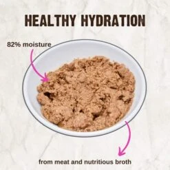 Rawz Natural Premium Pate Canned Cat Wet Food - Made With Real Meat Ingredients No BPA Or Gums - 5.5oz Cans 24 Count (Salmon) -Greenies Pet Store 51yY7EONC8L