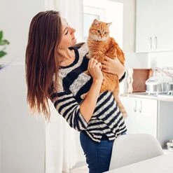 Greenies Smartbites Healthy Indoor Cat Treats 2 Flavor 4 Pouch Variety (2) Each: Tuna, Chicken (2.1 Ounces) Plus Catnip Toy And Animal Booklet Bundle 12 Greenies Smartbites Healthy Indoor Cat Treats 2 Flavor 4 Pouch Variety (2) Each: Tuna, Chicken (2.1 Ounces) Plus Catnip Toy And Animal Booklet Bundle -Greenies Pet Store 51zO5HYBOkL