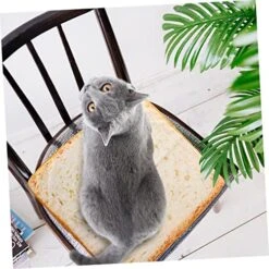 TOYANDONA Cat Cushion Food Decor Soft Pillow Daybed Pillows Dog Couch Unique Plush Dog House Unique Throw Pillow Adorable Cat Cushion Cat Sleeping Cushion Indoor Sleeping Pad Pillow Cushion 11 TOYANDONA Cat Cushion Food Decor Soft Pillow Daybed Pillows Dog Couch Unique Plush Dog House Unique Throw Pillow Adorable Cat Cushion Cat Sleeping Cushion Indoor Sleeping Pad Pillow Cushion -Greenies Pet Store 51zqB1Tj7xL