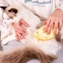 Durian Multifunctional Toys,Durian Cat Scratcher, Durian Shell Cat, Massaging And Removing Floating Hair Cat Dog Toys (2 Pcs) -Greenies Pet Store 614s4uYNaZL