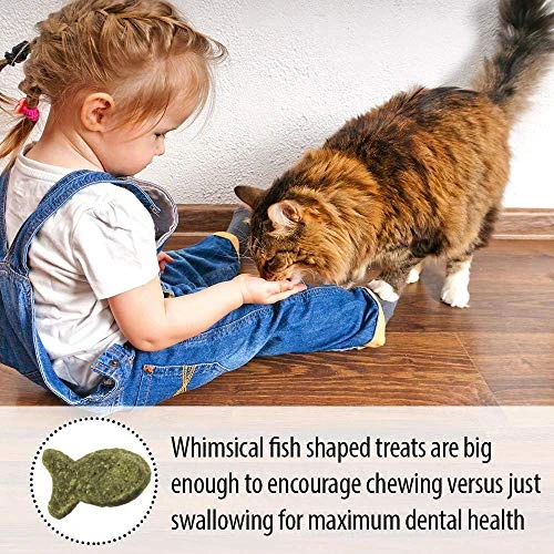 Emerald Pet 6 Pack Of Catnip Feline Dental Treats, 3 Ounces Each, Grain-Free Cat Treats Made In The USA 7 Emerald Pet 6 Pack Of Catnip Feline Dental Treats, 3 Ounces Each, Grain-Free Cat Treats Made In The USA - Image 5