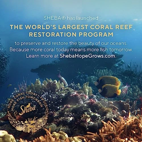 SHEBA PERFECT PORTIONS Paté Adult Wet Cat Food Trays (24 Count, 48 Servings), Savory Chicken, Roasted Turkey, And Tender Beef Entrée, Easy Peel Twin-Pack Trays 8 SHEBA PERFECT PORTIONS Paté Adult Wet Cat Food Trays (24 Count, 48 Servings), Savory Chicken, Roasted Turkey, And Tender Beef Entrée, Easy Peel Twin-Pack Trays - Image 6