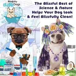 The Blissful Dog Razzle Dazzle White Pet Shampoo, 16 Oz. -Greenies Pet Store 61xe3b1j7eL