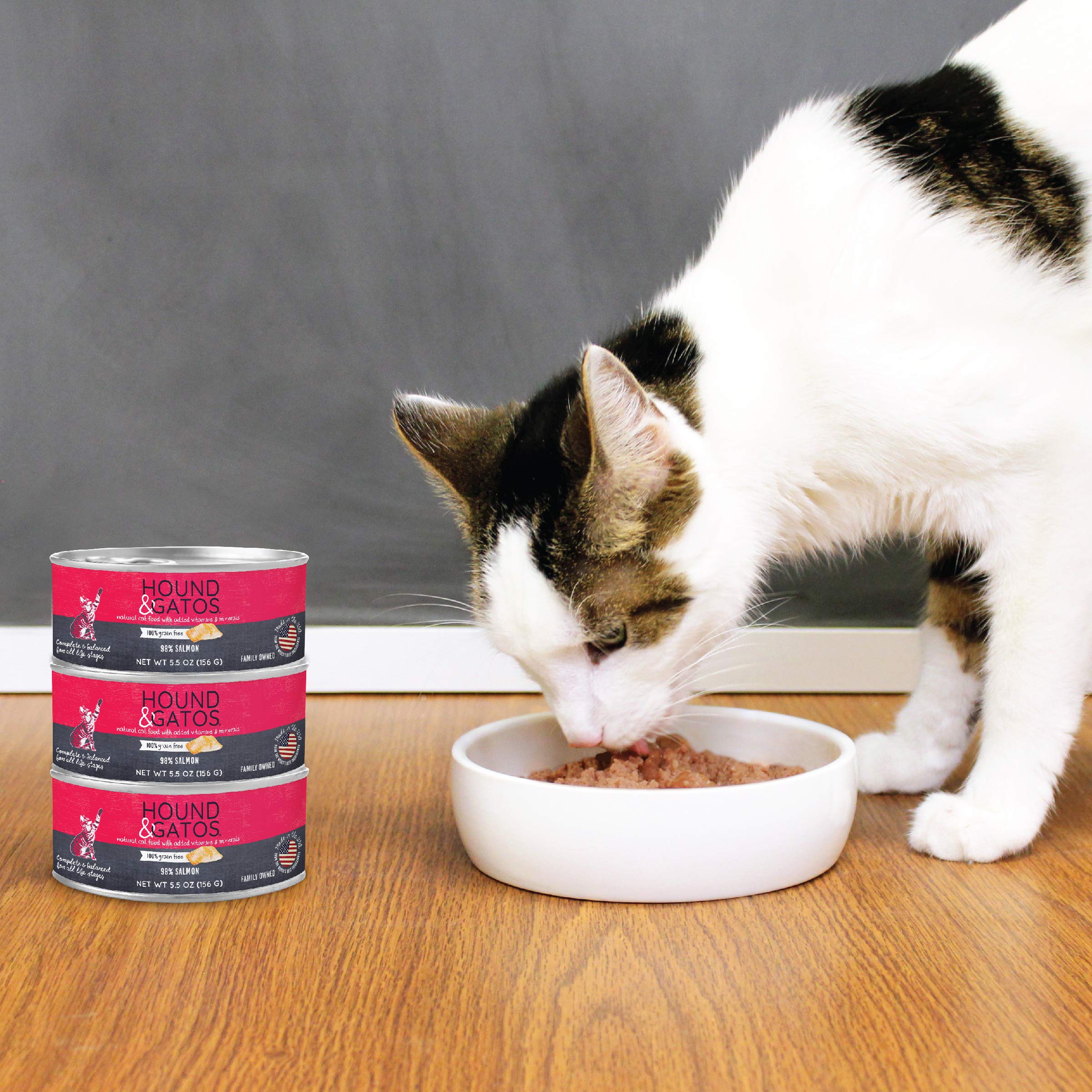 Front Page 19 Front Page -Greenies Pet Store 9165ajI72rL